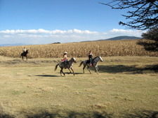 Mexico-Central Mexico-Rancho Mexicana - Colores de Mexico